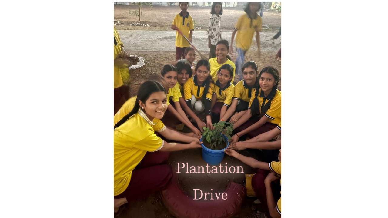 Plantation Drive